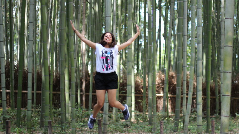 Kyoto Gezi Notları bambu busra