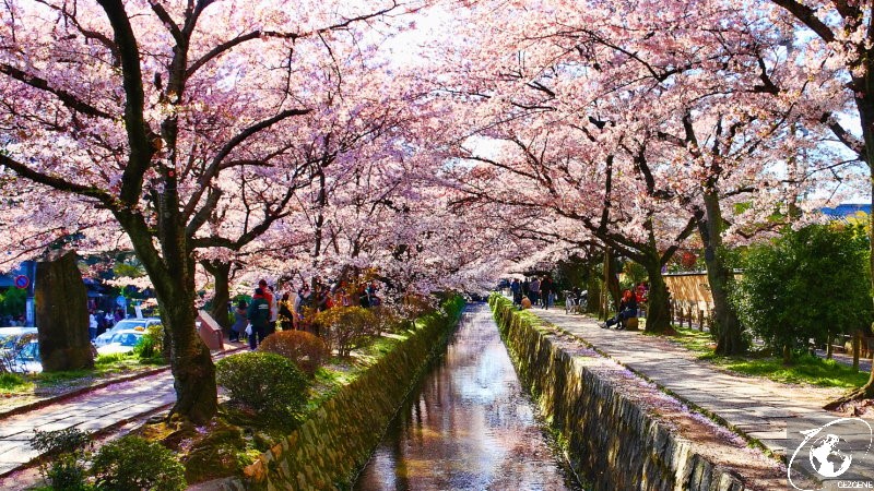 Kyoto'da Gezilecek Yerler filozof yolu