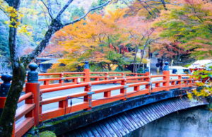 kyoto gezi notlari