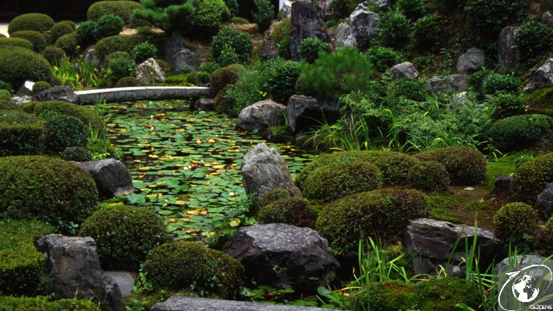 Kyoto'da Gezilecek Yerler tofukuji tapinagi